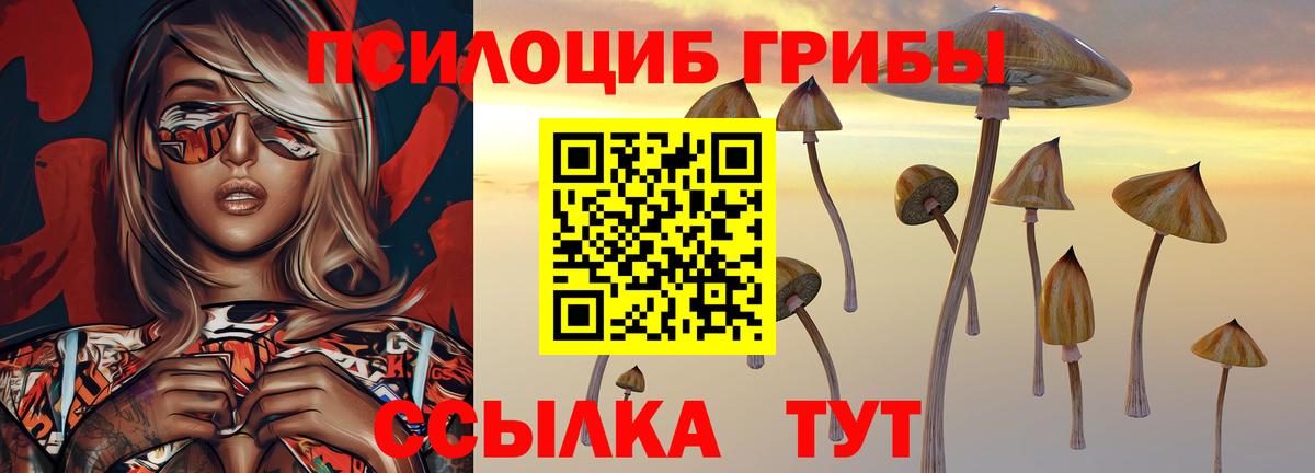 Галлюциногенные грибы Psilocybe  Галлюциногенные грибы Magic Shrooms  Коломна  Вход с VPN 